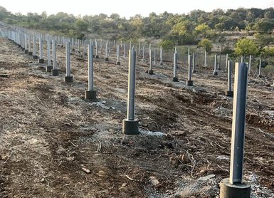 Rows of installed piles
